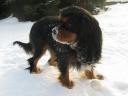 Max na sněhu